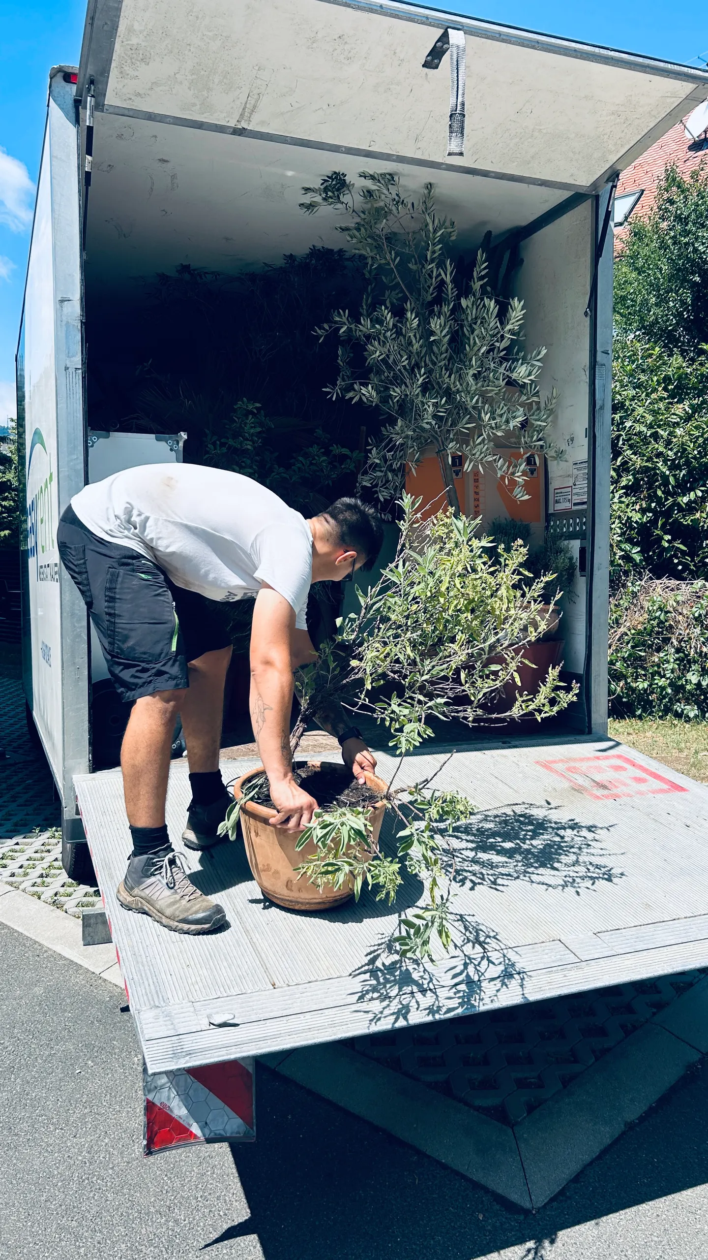 Beladung des Transportfahrzeugs mit Pflanzen in Graz